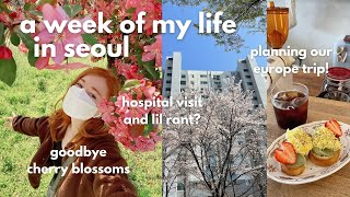 korean beauty standards 😒, recent reads, my apartment, going to europe! my life in seoul, korea vlog