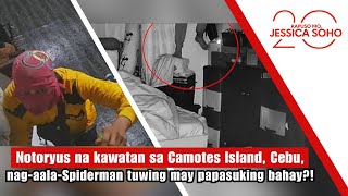 Notoryus na kawatan, nag-aala-Spiderman tuwing may papasuking bahay?! | Kapuso Mo, Jessica Soho