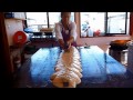 fudgemaking fudgemaking