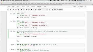 Python for Data Analysis 2018-19 - Lesson 7 (2/5)