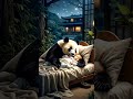 brave panda saves baby heartwarming moment goes viral trendingshorts cuteanimals animalrescue