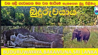 ARCHEOLOGICAL SITE, BUDURUWAYAYA#BAKAMUNA#SRI LANKA