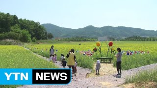 충북 혁신도시에 축구장 65배 크기의 꽃단지 탄생 / YTN