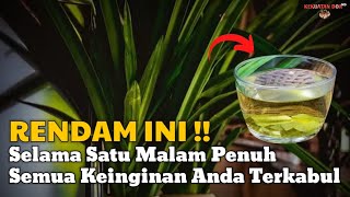 PLEASE TRY !!! 6 Magical Properties of Pandan Leaves According to Javanese Primbon