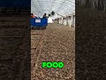 china farming is very different from other countries