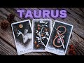 TAURUS 💌🦋, DAMN 🔥 WHO IS THIS PERSON CRUSHING 😍 OBSESSED WITH YOU AND 👀🥹💗SEPTEMBER LOVE TAROT🦋❤️