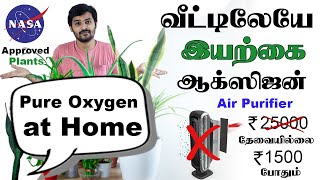 10 Air Purifying NASA approved Indoor Plants for Your Home | Oxygen at Home | வீட்டிலேயே  ஆக்ஸிஜன்