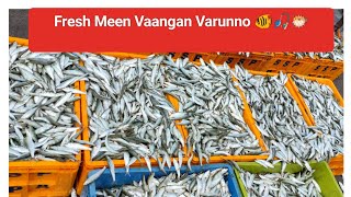 🐠Meen Vaangan varunno💫 |Ponnani Fishing 🎣 Harbour |Thaslimohamedali