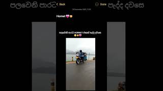 #හොනට් වලට ආස අය කෝ✊💗Honda hornet 250