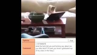 Cat Is Angry On The Internet