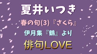 2022年3月28日「夏井いつき 春の句（３) 伊月集『鶴』より『さくら』」 俳句LOVE