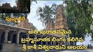 శ్రీ కాశీ విశ్వనాధుని ఆలయం || పుష్పగిరి,వల్లూరు గ్రామం, కడప ##subscribe #likeandshare