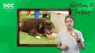 Unlocking Pet Health with Dr. Vinod Sharma : Nutrition & Feeding