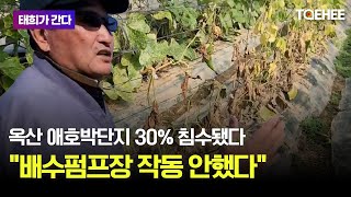 태희가간다 | 옥산 애호박단지 30% 침수됐다 \