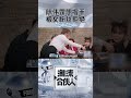 陈伟霆遇淡定真爱粉，想与粉丝握手反被拒绝~ williamchan