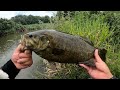 yasu ８月真夏はこのドリフトだよ！【川バス釣り】スモールマウスバス 2024年8月 small mouth bass fishing