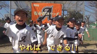 「朝倉第二ヤングタイガース」第41回全日本学童軟式野球大会マクドナルドトーナメント高知県予選に参加チームを紹介。