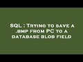 SQL : Trying to save a .bmp from PC to a database blob field