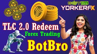 How to Redeem TLC 2.0 Withdrawal? Botbro Yorker FX Forex Trading | Full Business Plan Rview in Hindi