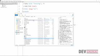 PHP Script Tag
