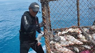 (Guerreiros Do Mar) PESCARIA COM GAIOLA ARTESANAL, QUE TINHA MILHARES DE PEIXES DE TODOS OS TAMANHOS