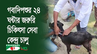 নওগাঁ গবাদিপশুর ২৪ ঘন্টার জরুরি চিকিৎসা সেবা কেন্দ্র চালু