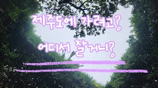 제주호텔? 여긴어때? 소노캄제주