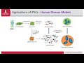 modeling the human brain using induced pluripotent stem cells ipscs