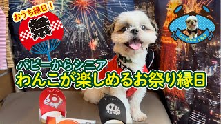 【おうち縁日】わんわん祭り！