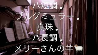 繁田真紀ピアノ教室🎹ブルグミュラー♩真珠🦪モーツァルトkV15z   ハ短調♩メリーさんの羊♩簡単ピアノアレンジのコツ💁‍♀️