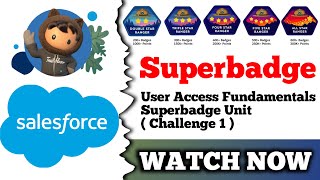 User Access Fundamentals Superbadge Unit | Salesforce Trailhead | Challenge 1