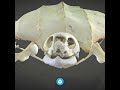 Sketchfab Cultural Heritage Weekly Top 13 Week 12 2023