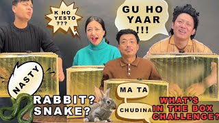 WHAT’S IN THE BOX CHALLENGE? POOP?SNAKE? RABBIT?