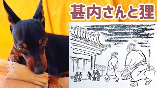 【土佐の民話】#55 甚内さんと狸