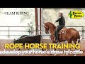 Develop Your Horse’s Draw to Cattle