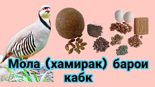 Тарзи тайёр кардани мола (хамирак) барои кабк