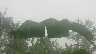 Wild Remote Village Weather: Heavy Rain and Thunderstorms | Terrible Storm with Blustery Winds