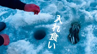 【穴釣り】ポツンと凍った川の上から。これが入れ食い。