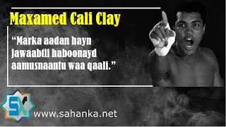 Maxamed Cali Clay | Feedhyahankii 91% Guulaysan Jiray.