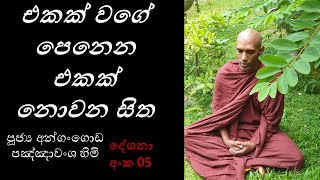 දේශනා අංක 05 එකක් වගේ පෙනෙන එකක් නොවන සිත