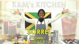 JAMAICAN SORREL DRINK RECIPE 「ジャマイカン・ソレルドリンク」の作り方 (K\u0026M’s KITCHEN / HELLO HOKUEI)