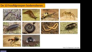 Citizen Science Cafe - de bodem pakt uit!