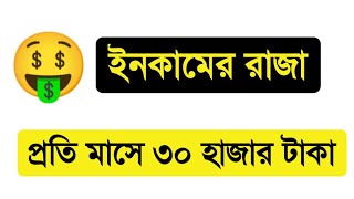 প্রতিমাসে ইনকাম ৩০ হাজার টাকা🤪ইনকামের রাজা এসে গেছে🤔