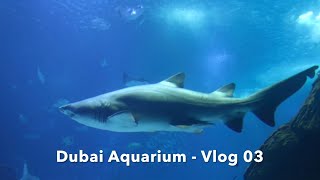 Exploring dubai aquarium and underwater zoo in dubai mall