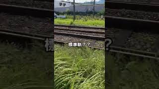 阪神電車でもいいから。