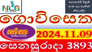 govi setha 3893 Result 2024.11.09 ගොවි සෙත ලොතරැයි Lotherai#3893#NLB ලොතරැයි#ලොතරැයි