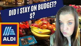 $75 Dollar Aldi Grocery Shopping Challenge - Budget Grocery Haul w/ Prices