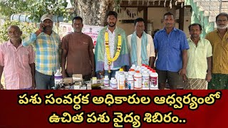 NavataTv // పశు సంవర్ధక అధికారుల ఆధ్వర్యంలో ||  ఉచిత పశు వైద్య శిబిరం