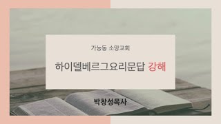 2/2 [하이델베르그요리문답 31강] 유아세례에 관하여