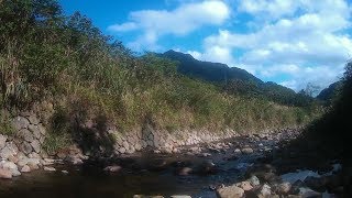 【冬季平廣溪釣遊】水溫低 照到太陽才勉強會吃餌 #無敵大麥蟲失效